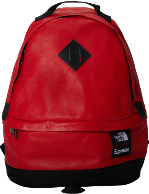 North face supreme leather top backpack
